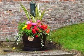 Muston-village-in-Bloom